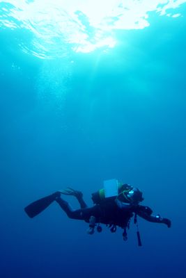 Scientific-Diving-Unterwasserarbeiten-Kartierung-unter-Wasser-GeoWiD